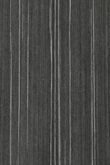 catalina-euroline-gloss