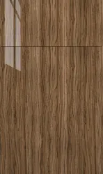 Olivo Gloss door style