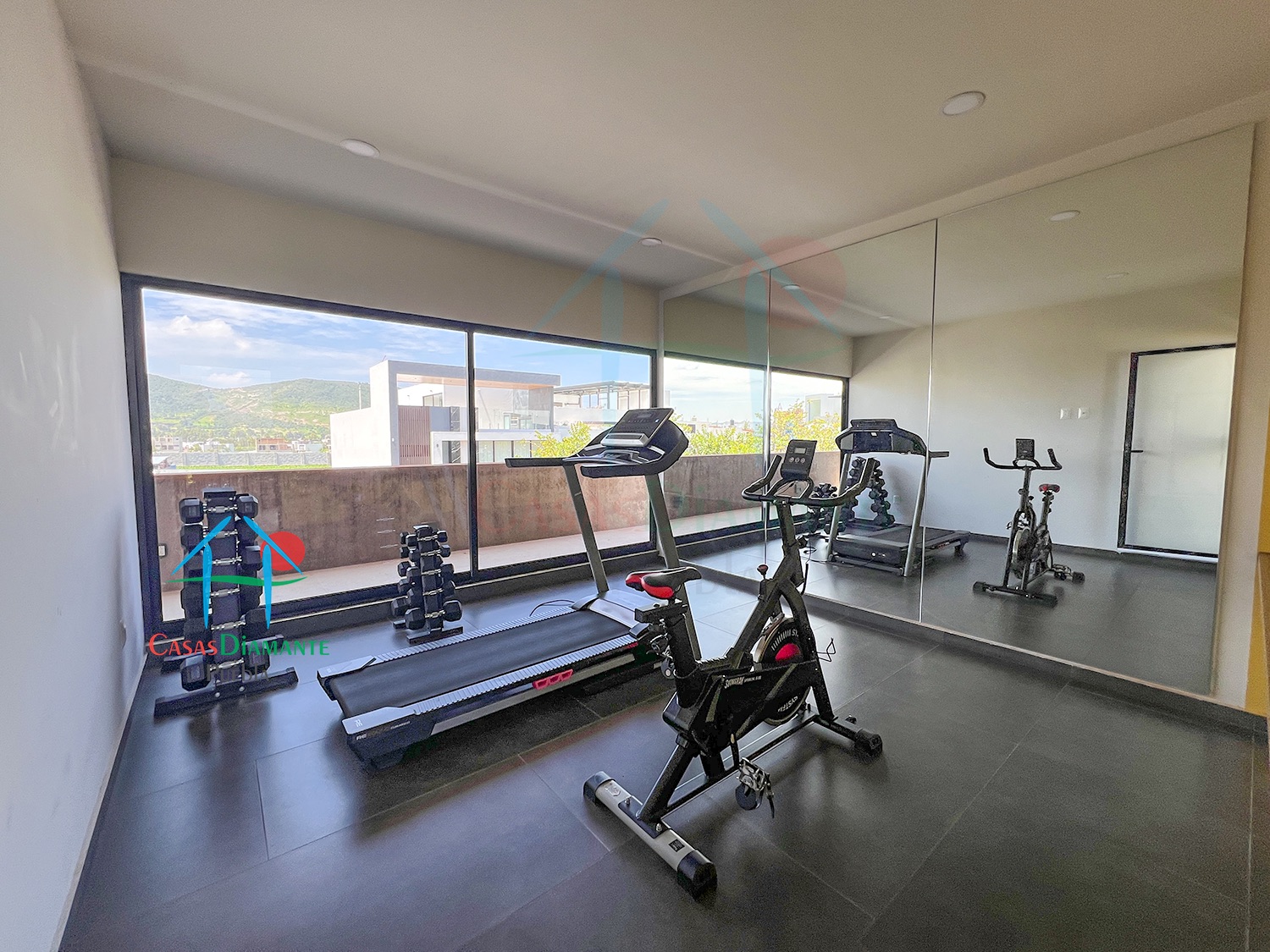 Lomas de Angelópolis III Parque México - Gimnasio 1
