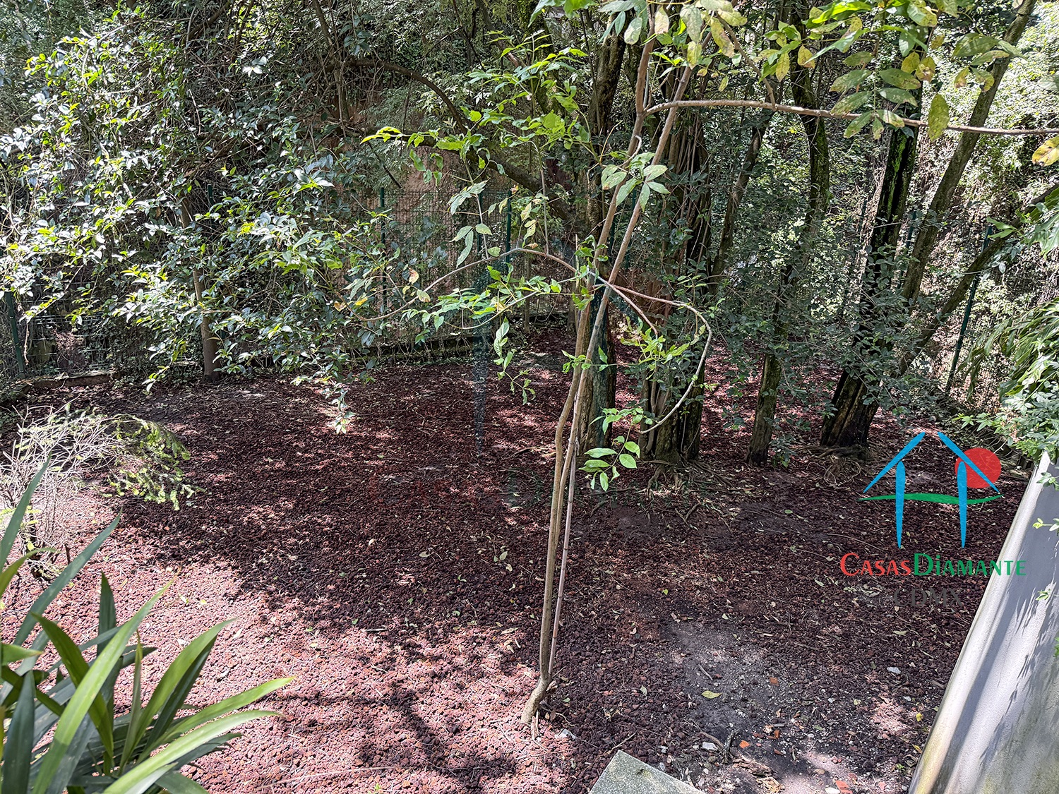 Condominio Ursus - Área para perros 3