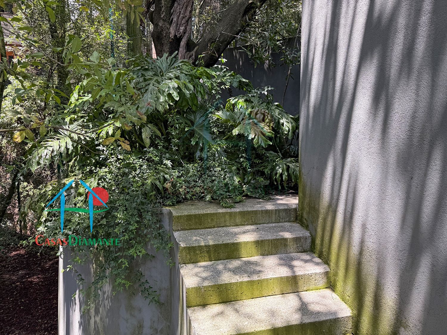 Condominio Ursus - Área para perros 4
