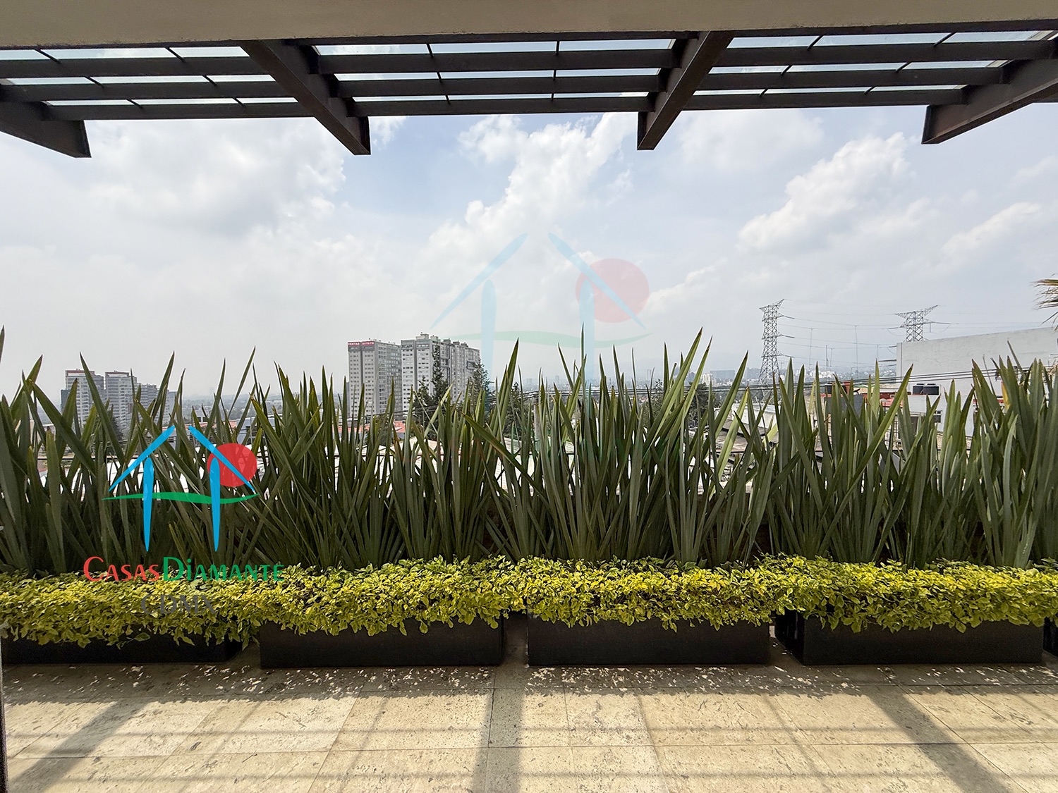 Condominio Las Palmeras - Gimnasio 10