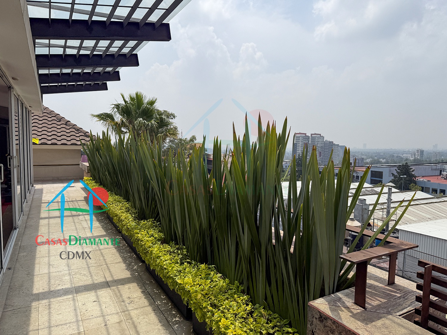 Condominio Las Palmeras - Gimnasio 11