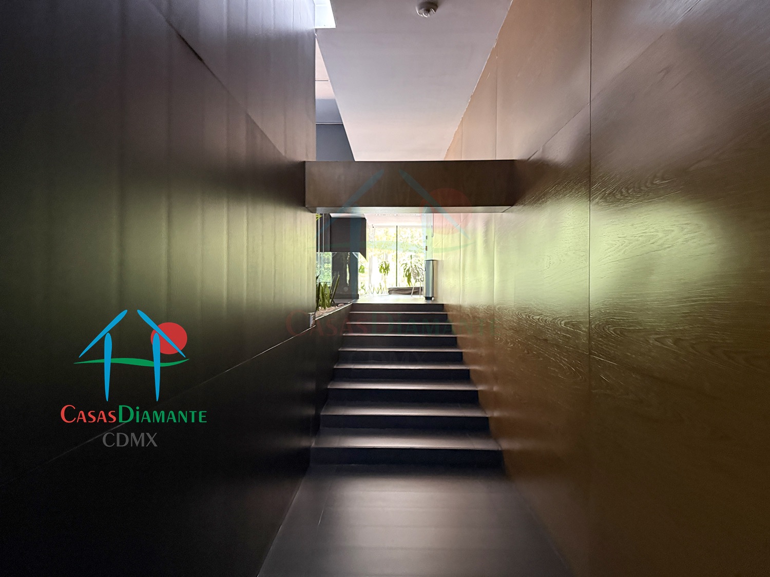 Condominio Magno Reforma - Alberca 2