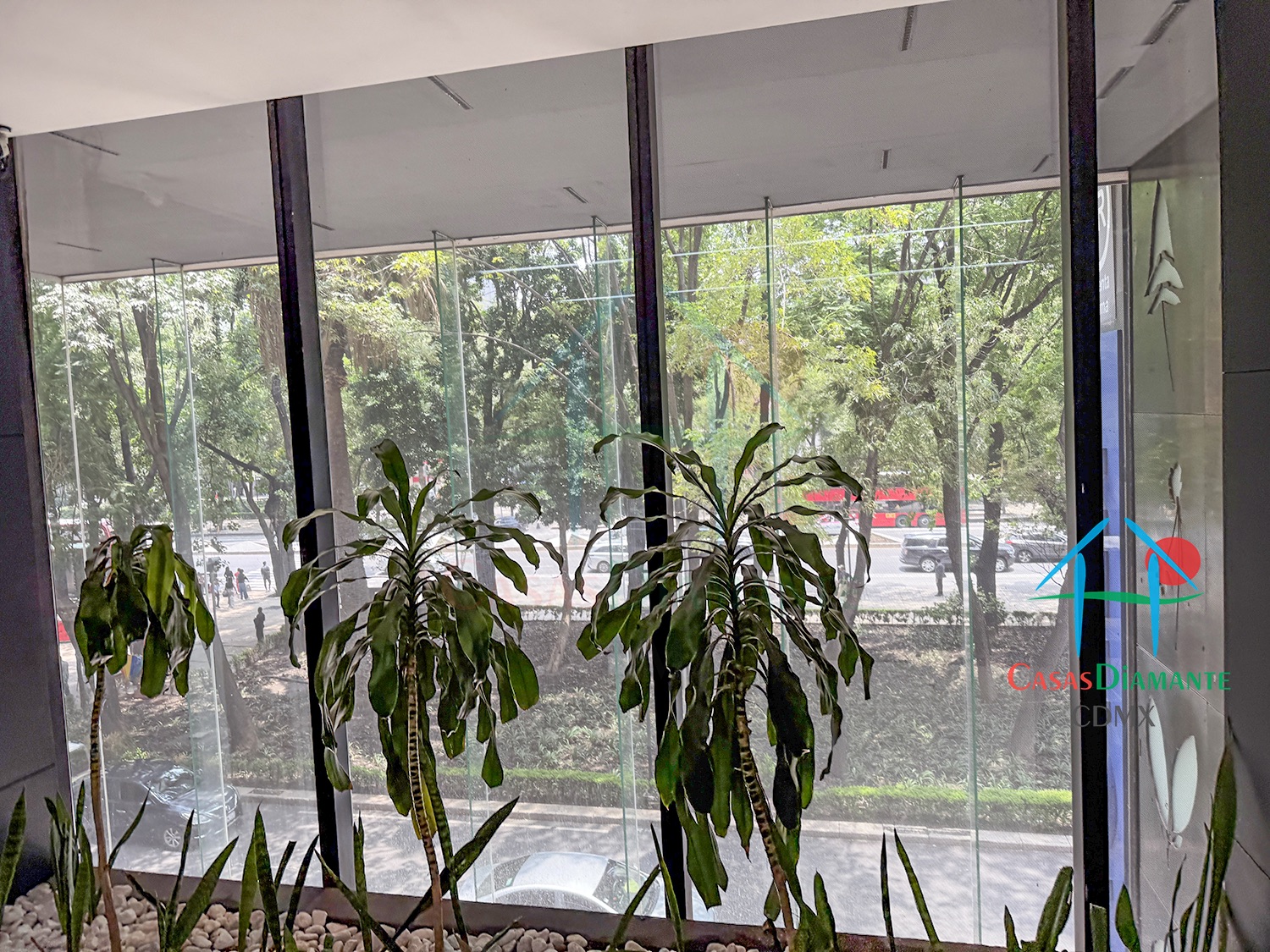 Condominio Magno Reforma - Jacuzzi 4
