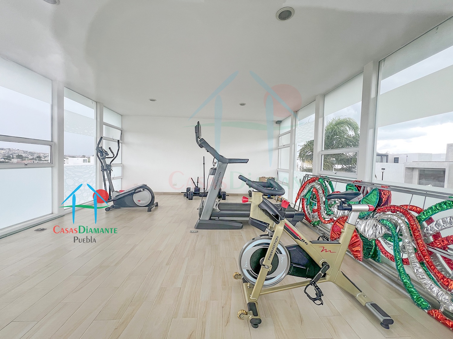 Lomas de Angelópolis III Parque Aguascalientes  - Gimnasio 1
