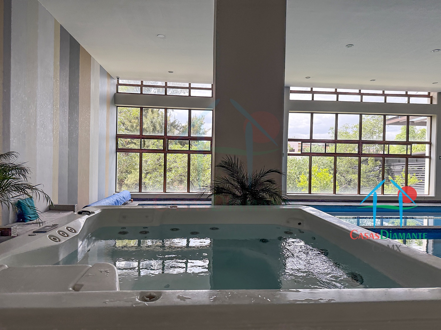 Privada Equus - Alberca 4