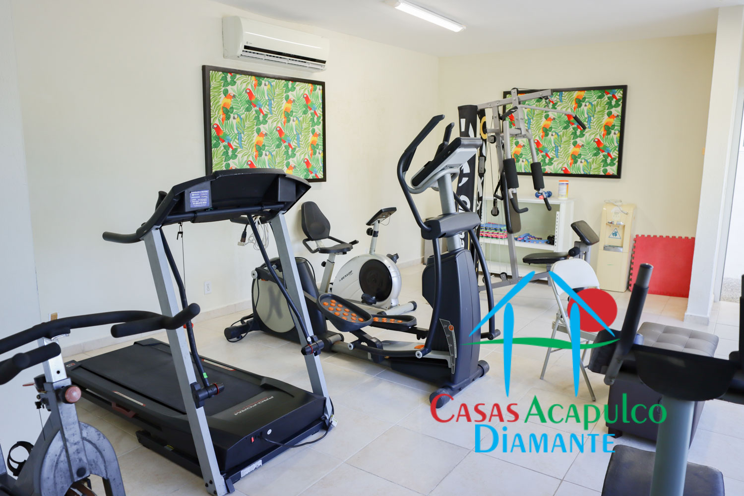 Pacífico Diamante - Gimnasio 2