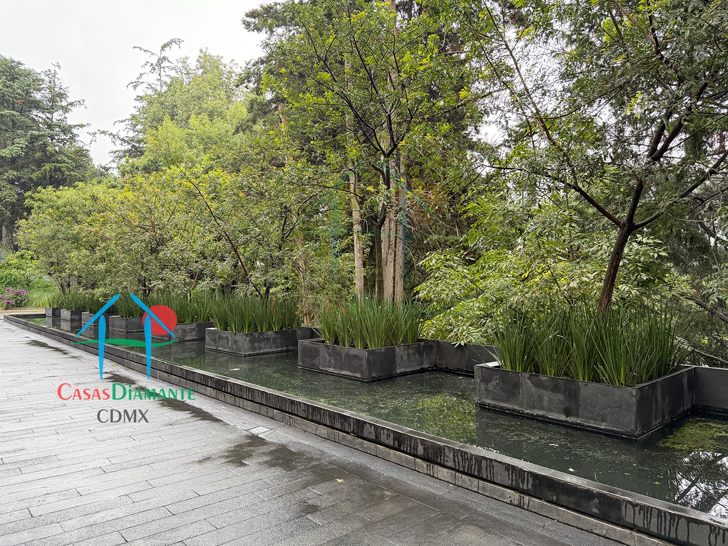 Acanto Ecos del Bosque - Acceso 7