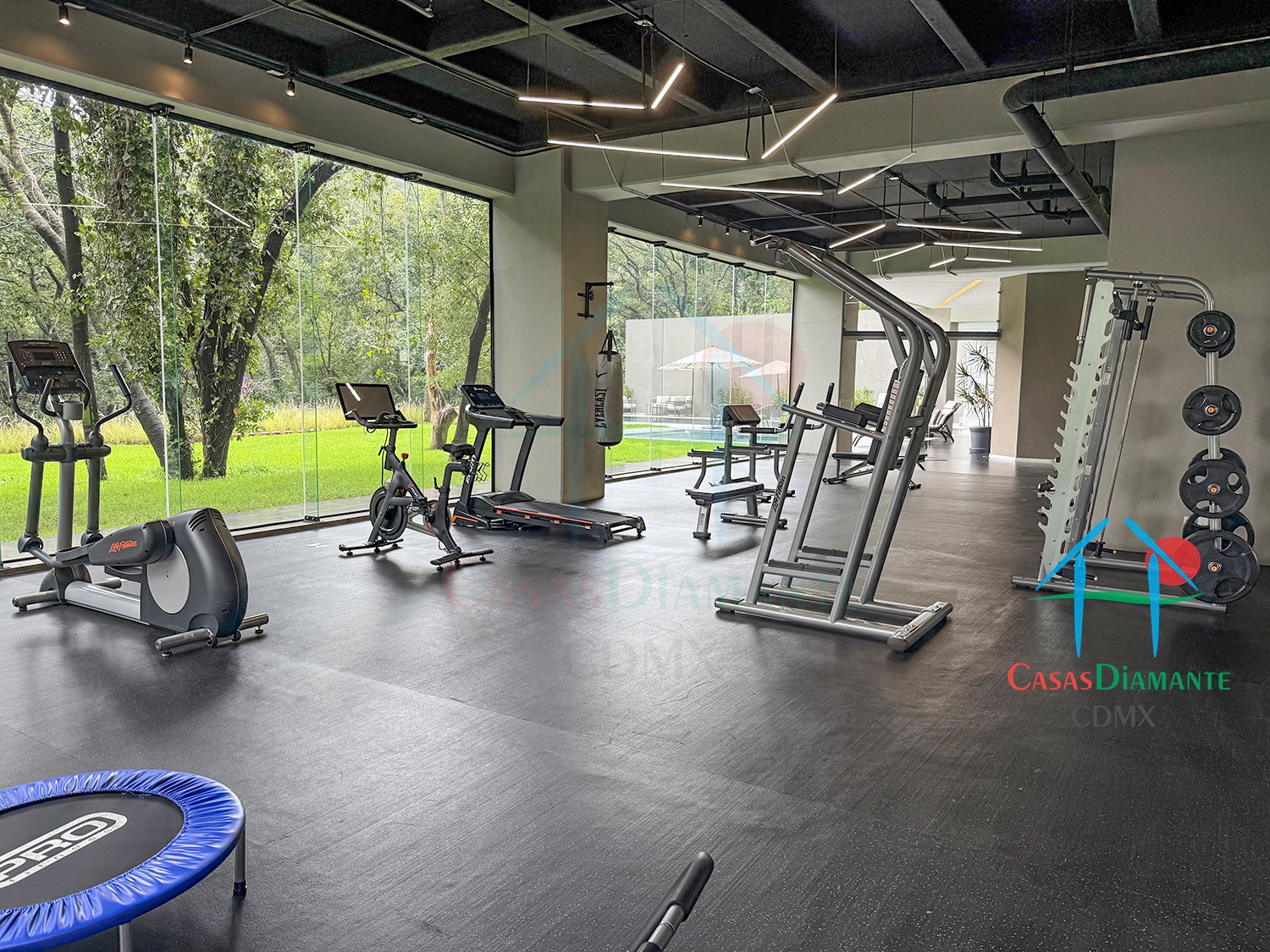 Acanto Ecos del Bosque - Gimnasio 5
