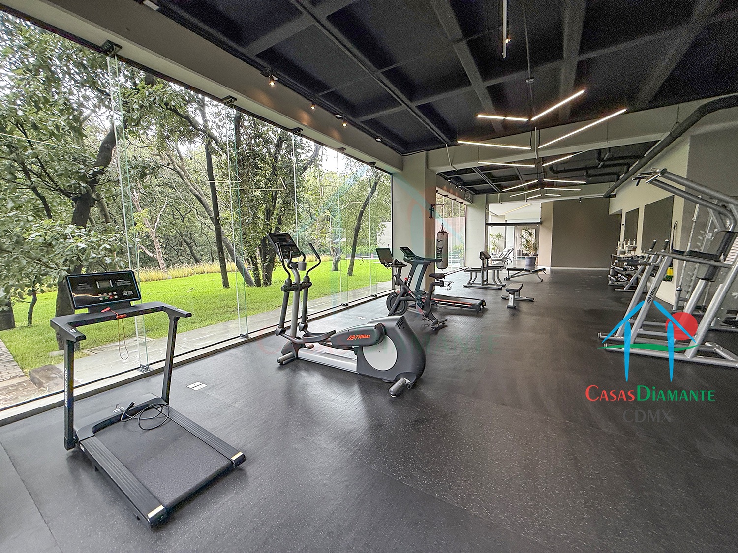 Acanto Ecos del Bosque - Gimnasio 6
