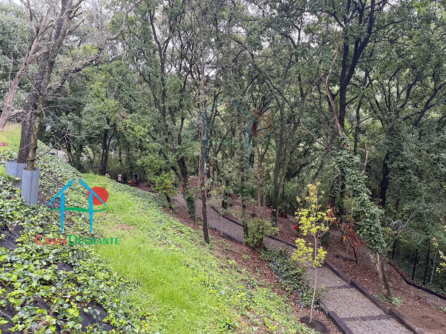 Acanto Ecos del Bosque - Jardines 4