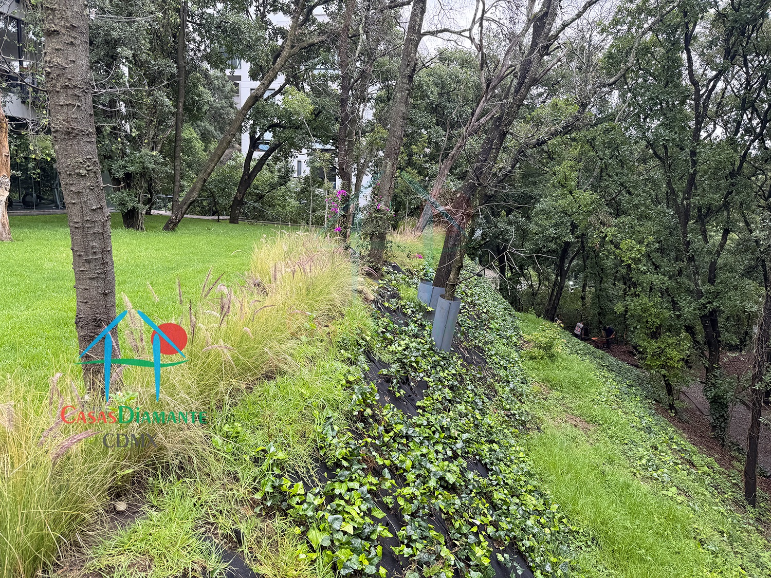 Acanto Ecos del Bosque - Jardines 5