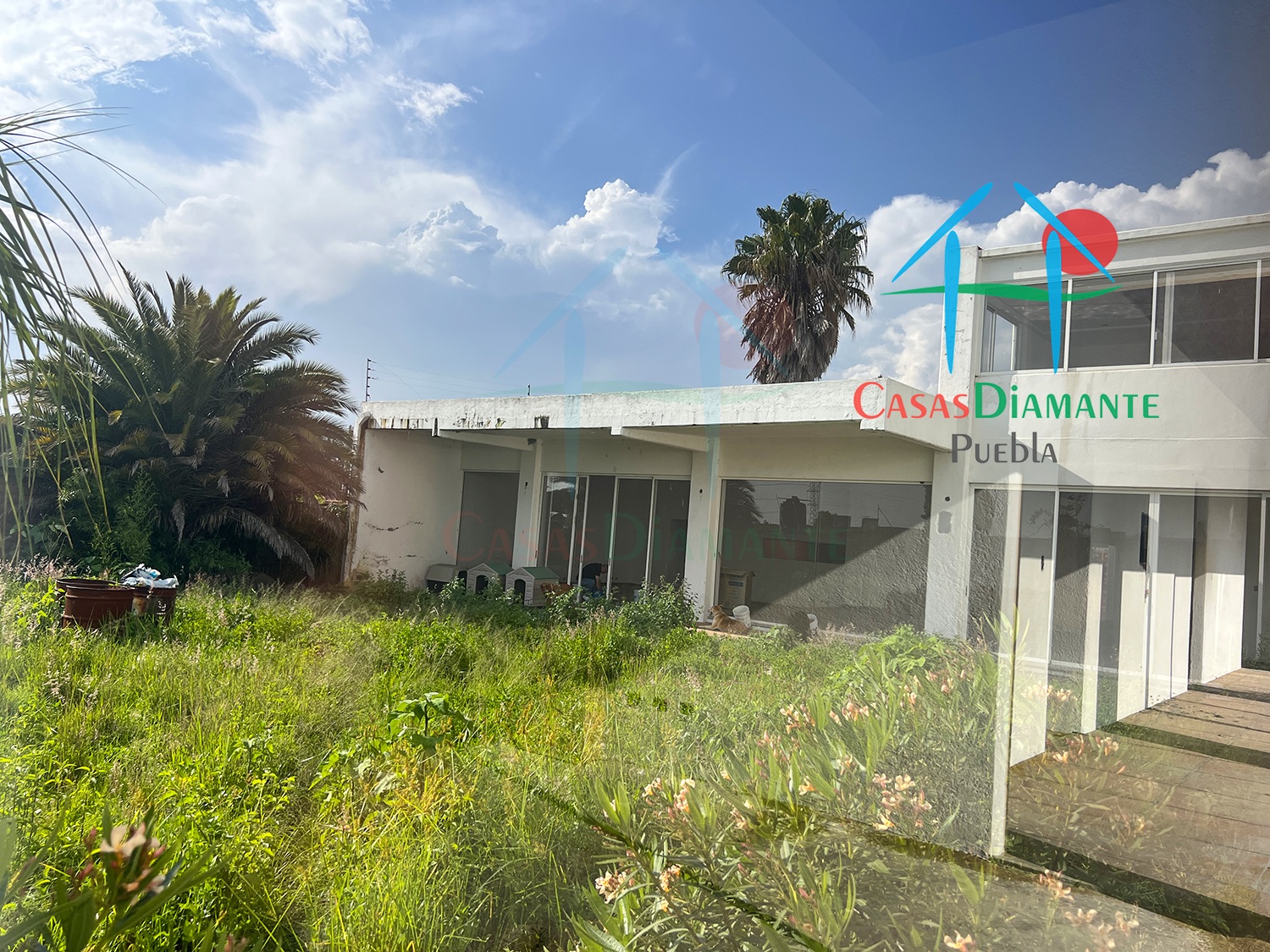 San Antonio Cacalotepec Casa Lucas - Jardín 3