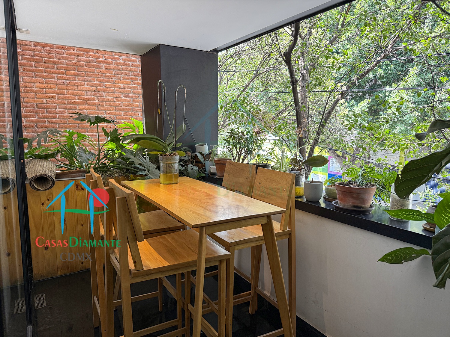 Roma Norte Departamento Orquídea - Terraza planta alta 1