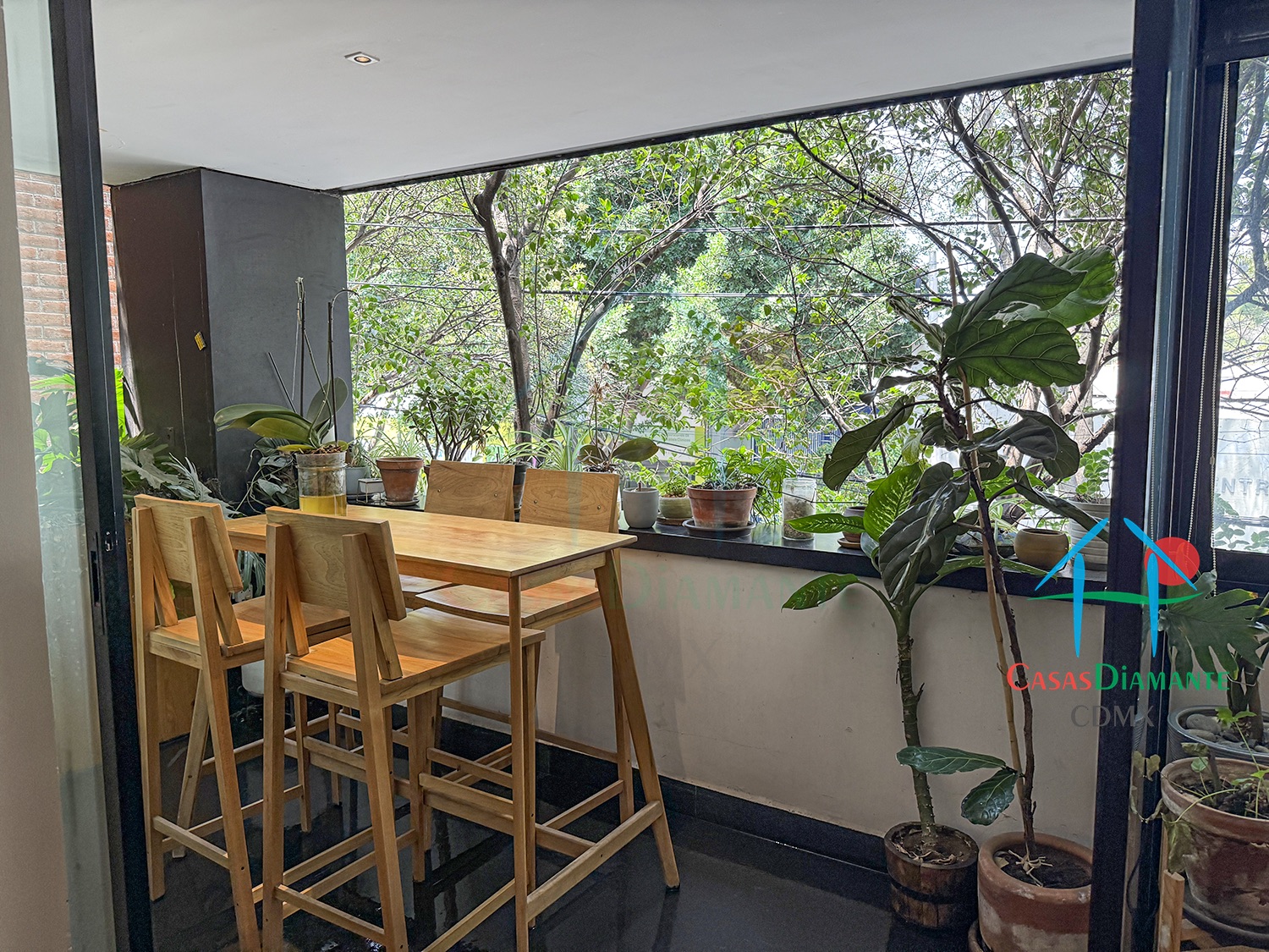Roma Norte Departamento Orquídea - Terraza planta alta 2