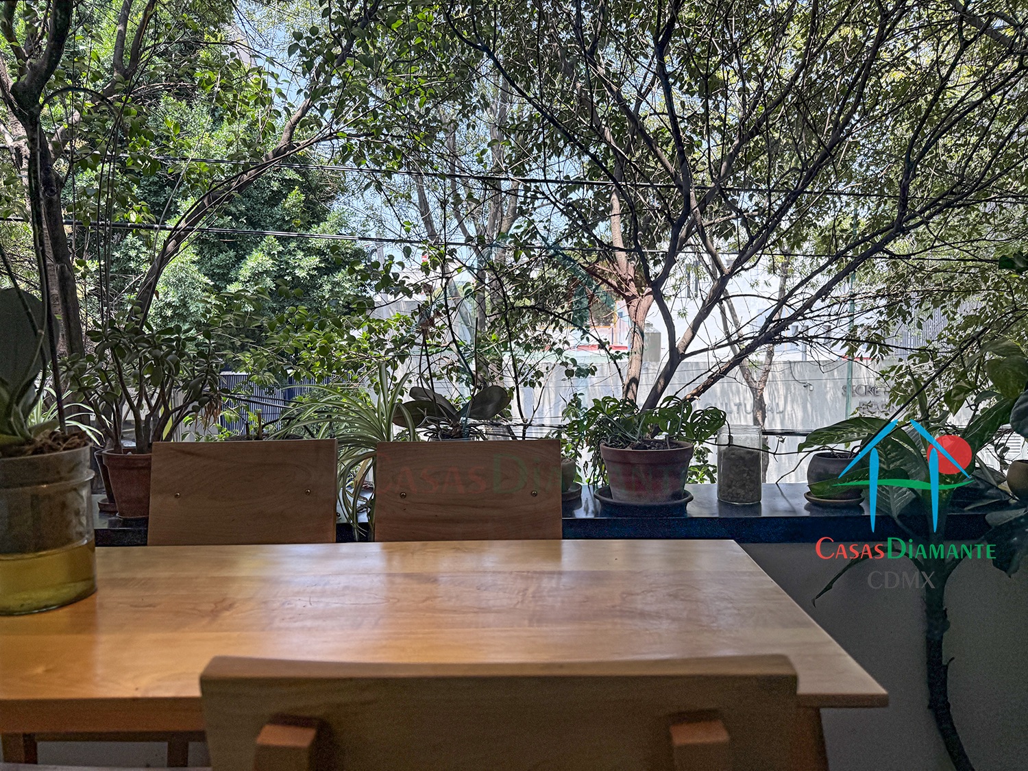 Roma Norte Departamento Orquídea - Terraza planta alta 3