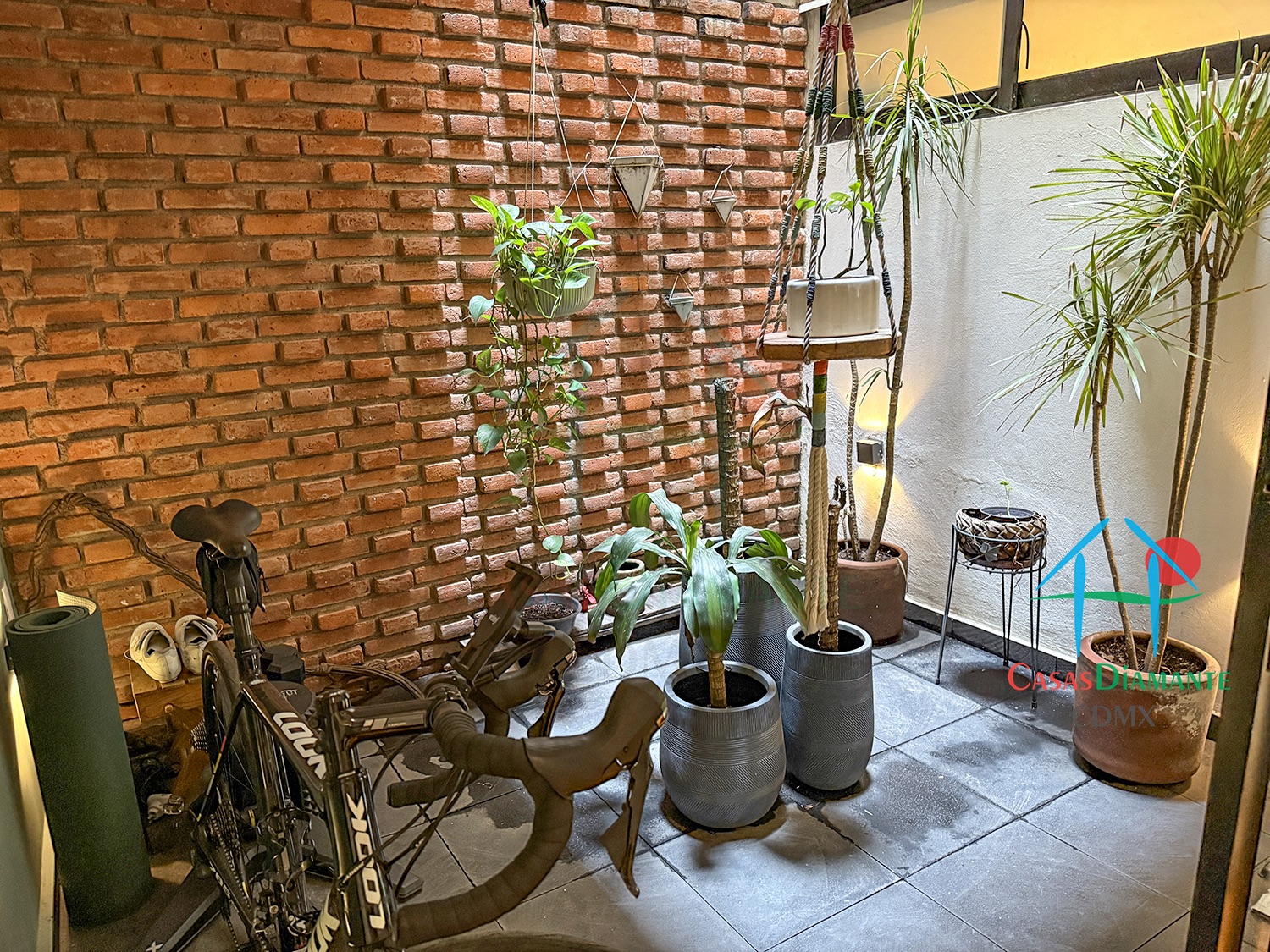 Roma Norte Departamento Orquídea - Terraza planta baja 1