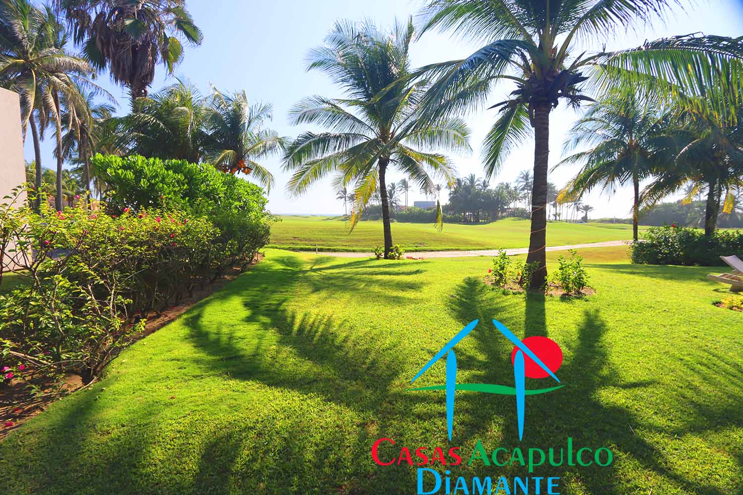 Delta 6 - Terraza, jardín y alberca 8