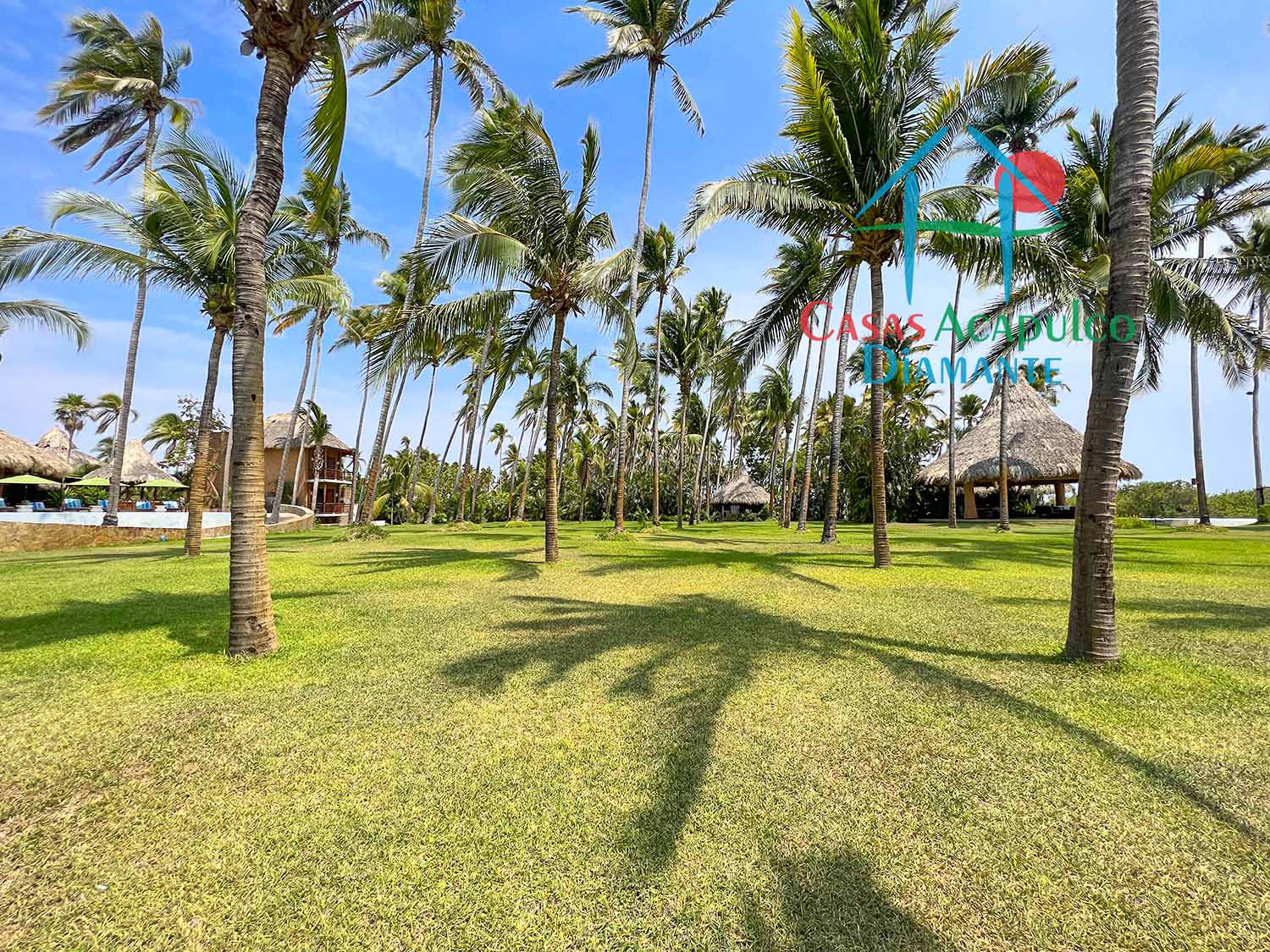 Casa Los Cocoteros - Jardín 6