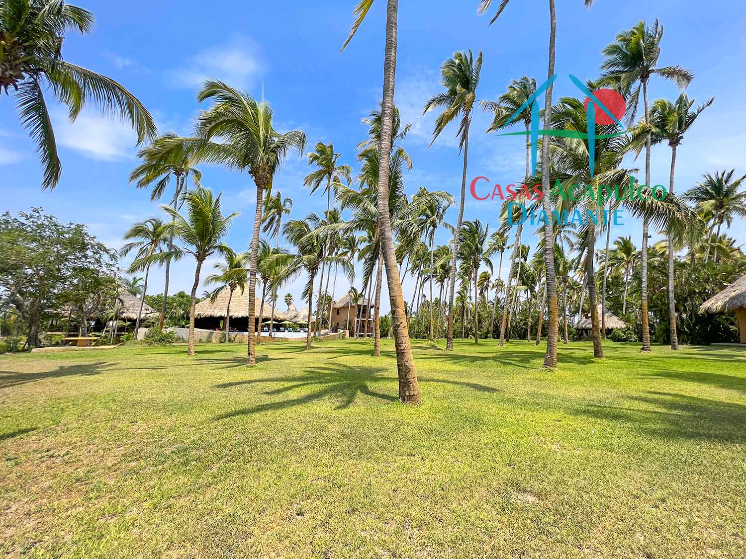Casa Los Cocoteros - Jardín 7