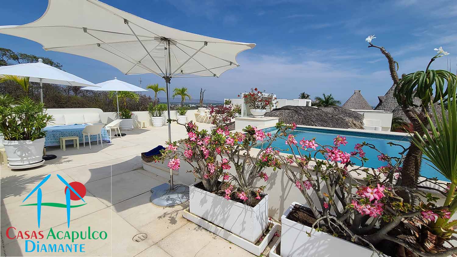 El Diamante 2 PH 401 - Roof garden 1