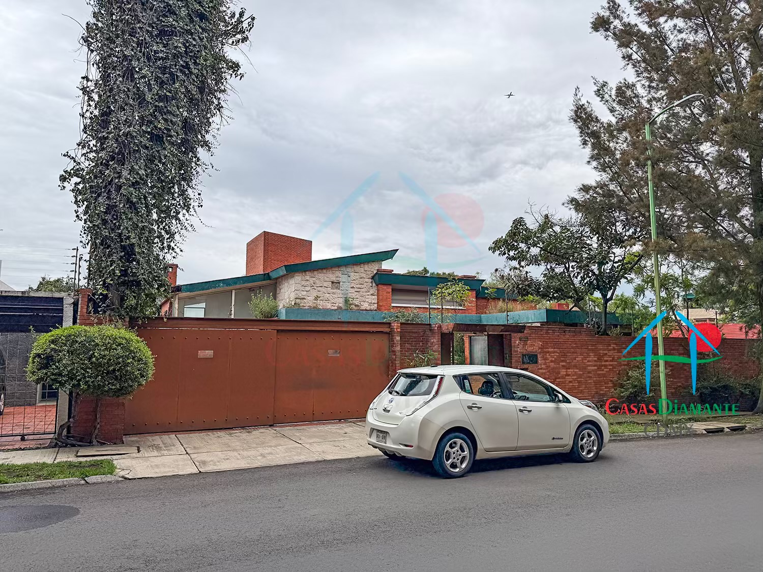 Bosques de las Lomas Terreno Jaguar BBC