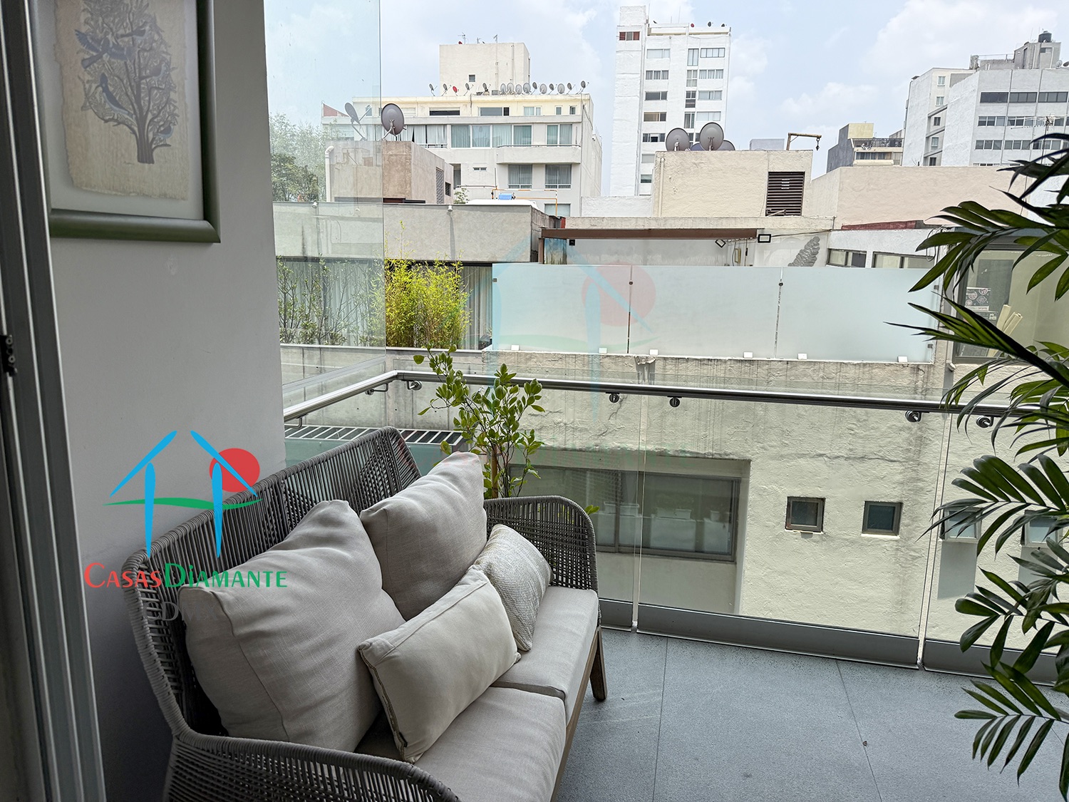 Polanco Departamento Arquímedes - Terraza 4