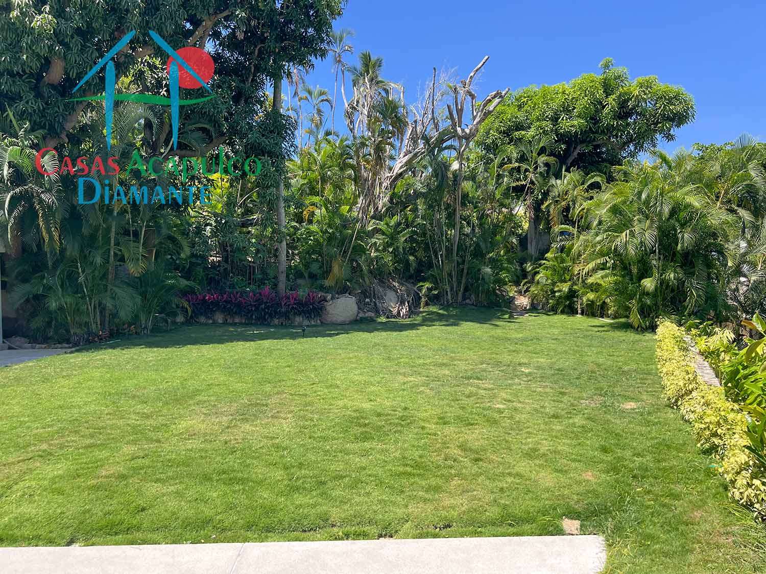 Casa Luna - Jardín y alberca 23