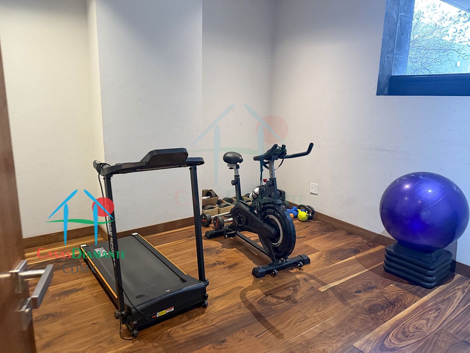 Jardines del Pedregal Casa Lorenzo AGE C - GYM 1