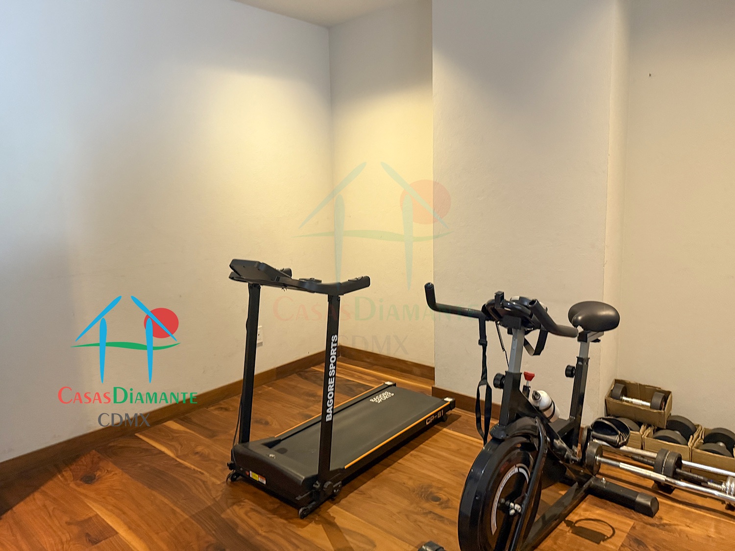 Jardines del Pedregal Casa Lorenzo AGE C - GYM 2
