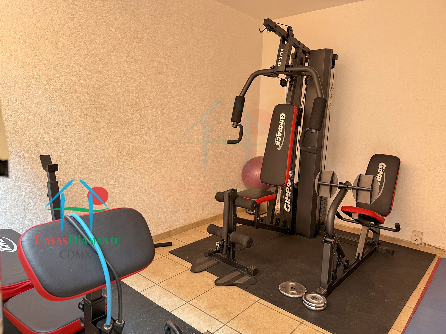 Jardines del Pedregal Casa Alan ACJ - Gimnasio 1