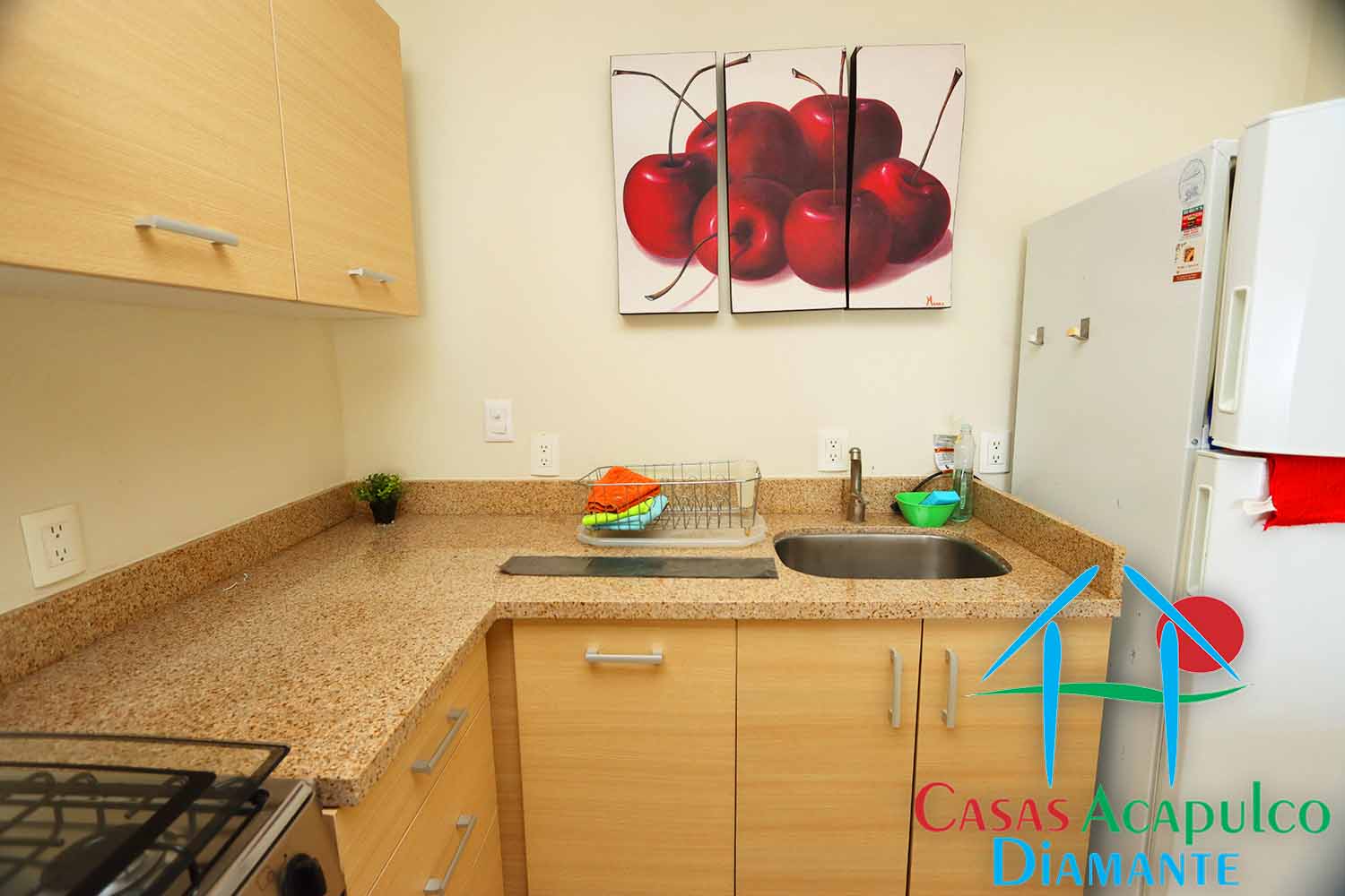 Aura A 214 - Cocina 4