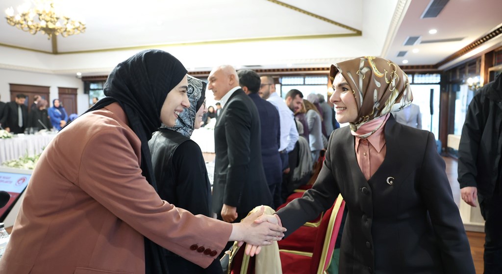 sosyal medya duzenlemesi bakan goktas stk temsilcileri ile sıkıştı