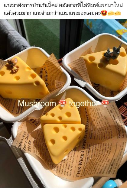 รีวิวจากนักเรียนคลาส Say Cheese
