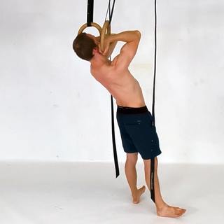 Rings biceps curl