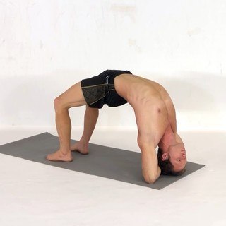 Elbow bridge