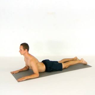 Sphinx pose
