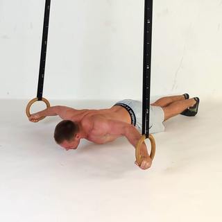 Horizontal chest ring flys