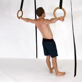 Rear delt rings fly T-shape