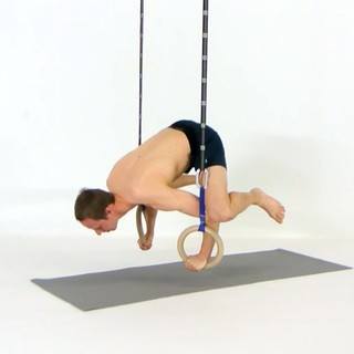 Rings frog stand