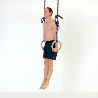 Rings support