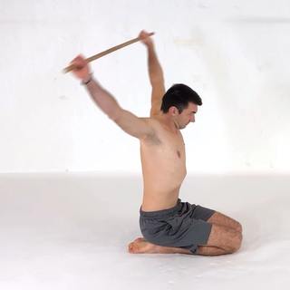 Seiza shoulder dislocates