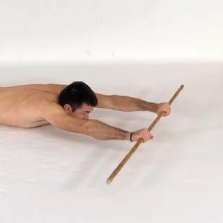 Prone hollow body arm flexion bounces