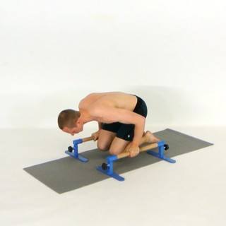 Tuck planche pushup