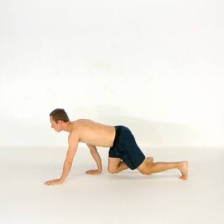 Bear crawl