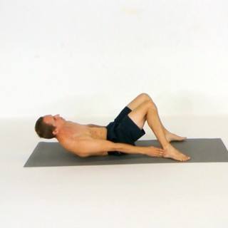 Penguin abs