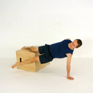 Knee Copenhagen plank