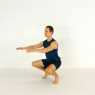 Half sissy squat