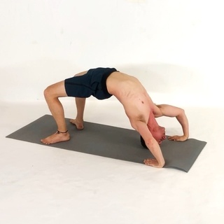 Bridge pushup